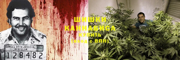 эйфоретик Аркадак